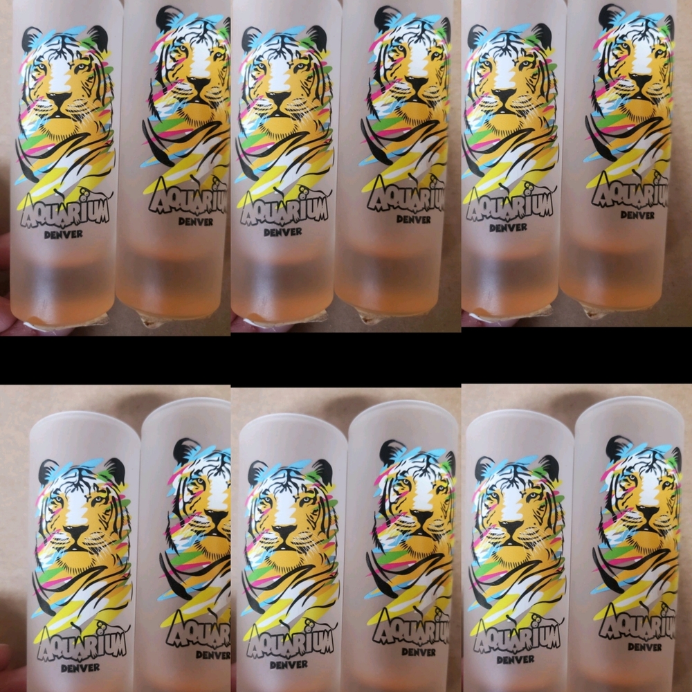 Set Of 12 Tiger Shot Glasses